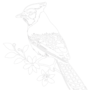 Libro de Naturaleza en Acuarela